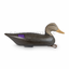 black duck decoy urn