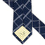 Blue Check Necktie