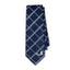 Blue Check Necktie