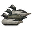 bufflehead decoys