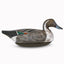 pintail sprig decoy